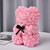 Homvare Rose Bear 10" Gift Box for Valentines Day, Anniversary & Birthday Pink