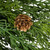 Real Touch™? Cedar Artificial Christmas Wreath with Pinecones   - 24" - Unlit