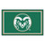 3.6' x 5.9' Green and White NCAA Colorado State University Rams Plush Area Rug
