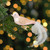 5.5" Rose Gold Bird with Feather Tail Glass Clip-On Christmas Ornament