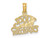 10K Yellow Gold 100% CAPRICORN Zodiac Charm Astrology Zodiac Pendant Necklace with Chain
