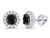 1.00 Carat (ctw) Black and White Diamond Earrings in 10K White Gold