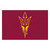 19" x 30" Red and Yellow NCAA Arizona State University Sun Devils Starter Door Mat