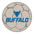 27" Gray and Blue NCAA State University of New York at Buffalo Bulls Soccer Ball Area Rug