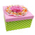 7.25" Green and Pink Square Contemporary Storage Boxes