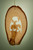 4" Brown Olive Wood End of Trail in Rustic Bark Hanging Ornament