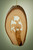4" Brown Olive Wood End of Trail in Rustic Bark Hanging Ornament