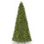 14’ Pre-Lit Ridgewood Spruce Medium Artificial Christmas Tree - Clear Lights