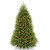 7.5 ft. Pre-lit Dunhill Artificial Christmas Tree with Clear Lights