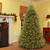 7.5 ft. Pre-lit Dunhill Artificial Christmas Tree with Clear Lights