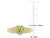 1/2 Carat (cw) Natural Peridot Promise Heart Ring in 10K Yellow Gold with Diamonds - 08DLG1003987PD-9