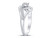 1/4 Carat (ctw G-H, I1-I2) Diamond Cluster Ring in 10K White Gold - 08GDG111945W-7
