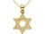 14K Yellow Gold Small Star of David Pendant Necklace with Chain