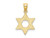 14K Yellow Gold Small Star of David Pendant Necklace with Chain