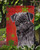 Caroline's Treasures SC9406-FLAG-PARENT Pug Red and Green Snowflakes Holiday Christmas Flag, , multicolor - SC9406GF