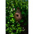 9.25" Brown Backyard Small Bird House and Nester