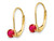 Natural Red Ruby 3/4 Carat (ctw) Leverback Earrings in 14K Yellow Gold