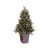 5' Pre-lit Medium Potted Green River Spruce Artificial Christmas Tree - Clear Lights
