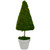 21" Green and White Reindeer Moss Potted Artificial Spring Floral Topiary Tree