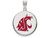 LogoArt Sterling Silver Washington State Large Enamel Disc Pendant Necklace SS029WAST