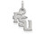 14k White Gold Logoart Florida State University Extra Small Pendant - 4W058FSUB