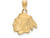 10k Yellow Gold Nhl Logoart Chicago Blackhawks Small Pendant