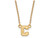 Logoart Sterling Silver Gp Cornell University Small Pendant Necklace GP004COU18AE