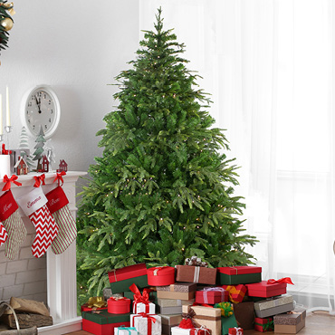 Our Most Realistic  Trees