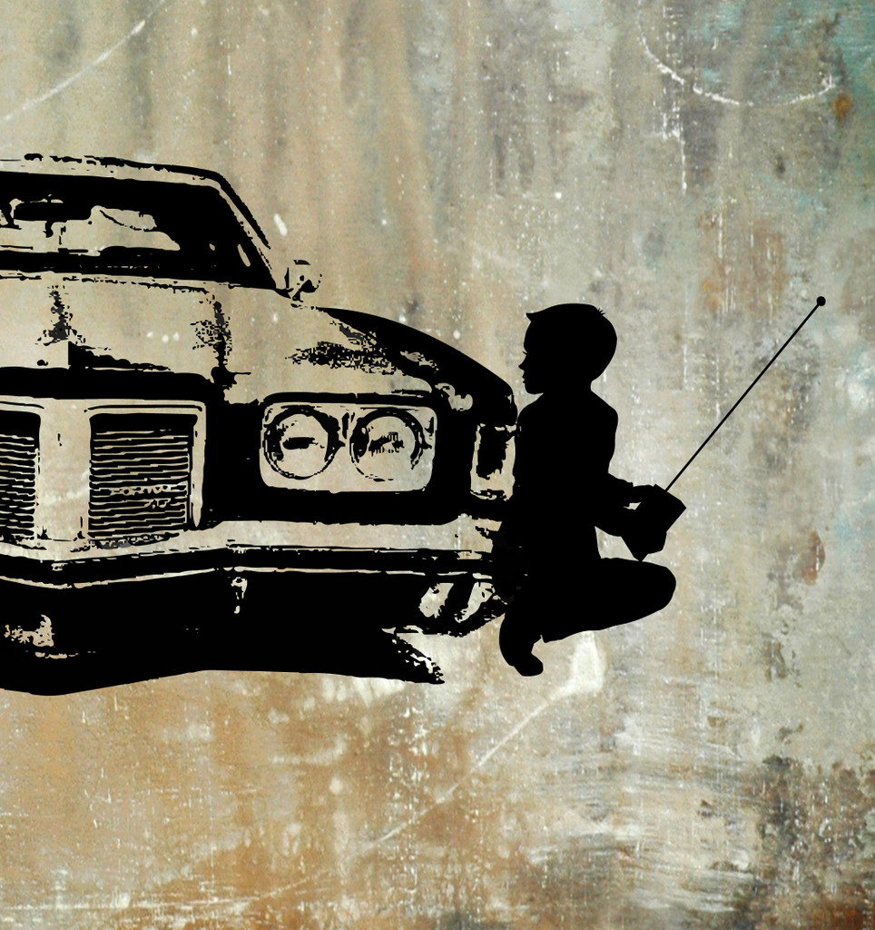 SHY - poster - 3 sizes - FREE SHIPPING