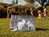 DRINKING BUDS - greeting card with envelope - single and multi pack. Free shipping 