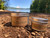 MOUNT HOOD TIMBERLINE- cedarwood, sandalwood, cypress, pine, lemon