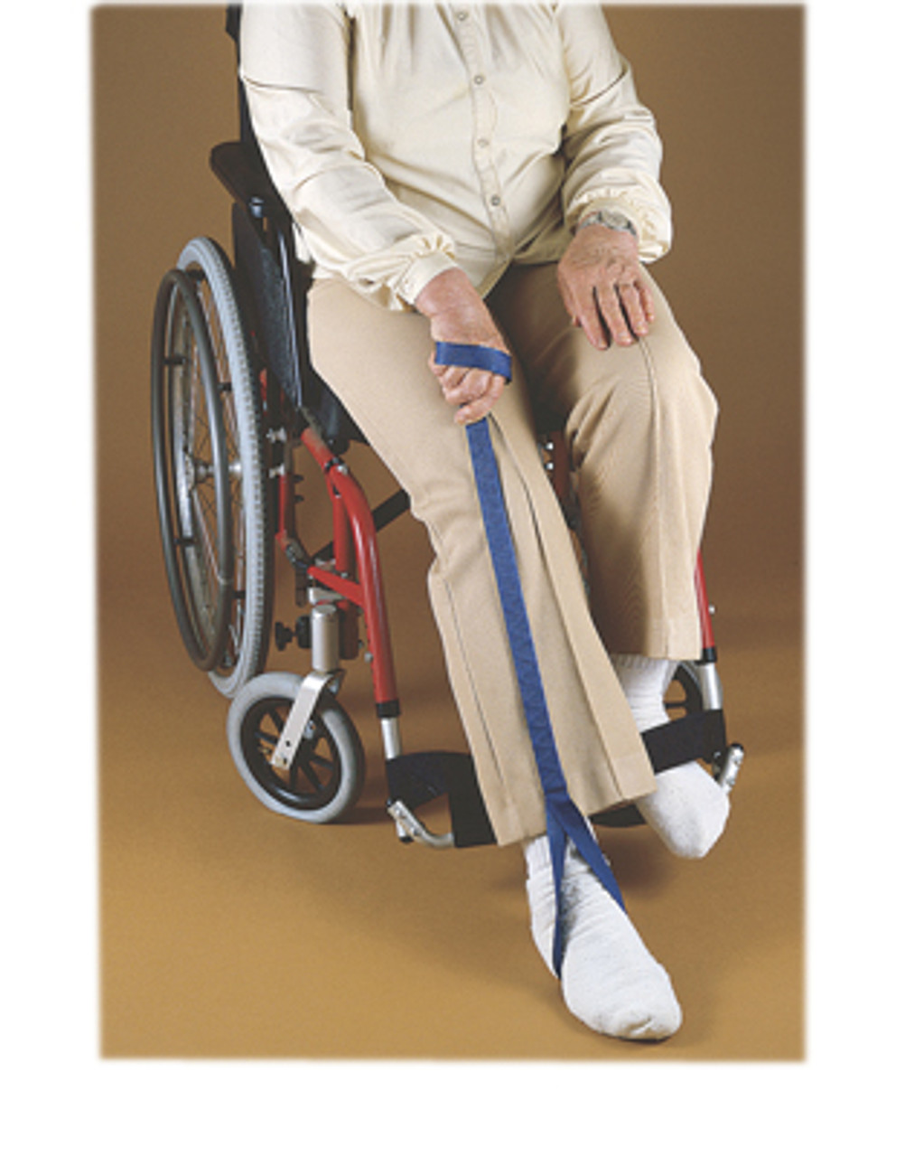 Wheelchair Accessories (432281)