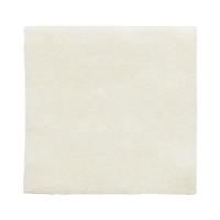 Alginate Dressing Melgisorb® Plus 4 X 4 Inch Square  (10/BX)