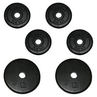 Weight Plates (100613)