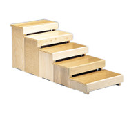 Wheelchair Training (154221)