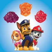 Multivitamin Supplement L'il Critters® Paw Patrol Complete Vitamin A - Vitamin C 225 mcg - 10 mg Strength Gummy 190 per Bottle Assorted Fruit Flavor (M-1231273)