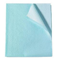 Stretcher Sheet Tidi® Everyday Flat Sheet 30 W X 48 L Inch Blue Tissue / Poly / Polyethylene Film Disposable (M-335859)