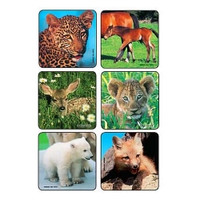 Kids Love Stickers® 90 per Pack Baby Animal Photos , Assorted Sticker 2-1/2 Inch (M-884148)