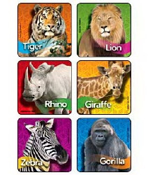 90 per Unit Zoo Animal Photos , Assorted Sticker  (90/RL)