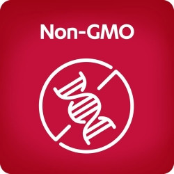 Urinary Pain Relief AZO® Phenazopyridine HCL Tablet 100 per Bottle  (1/BT)