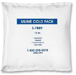 Refrigerant Gel Pack For Safe Transport of Temperature-sensitive Items  (24/CS)