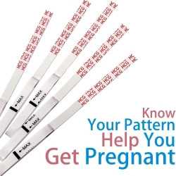 Reproductive Health Test Kit Preview® hCG Pregnancy Test 25 Tests CLIA Waived  (1/EA)