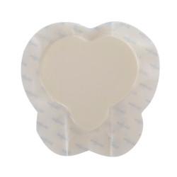 Foam Dressing Zenifoam Gentle Border 7 X 7 Inch With Border Foam Backing Silicone Adhesive Sacral Sterile  (1/EA)