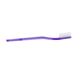 Toothbrush DawnMist® Translucent Purple Adult Soft  (144/BX)