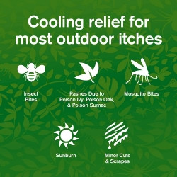 Itch Relief Benadryl® 2% Strength Gel 3.5 oz. Tube  (1/EA)