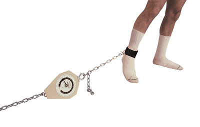 Baseline Back-Leg-Chest Dynamometers (120412)