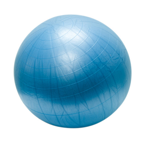 Cushy-Air Inflatable Exercise Balls (301743)