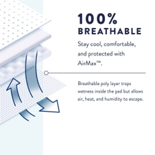 Male Adult Absorbent Underwear Prevail® Men's Daily Underwear Pull On with Tear Away Seams 2X-Large Disposable Heavy Absorbency (M-1131098)