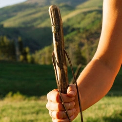 Walking Stick Brazos™ Free Form Wood 48 Inch Height Ironwood (M-1237878)