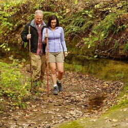 STICK, WALKING TREKKER BRAZOS TWISTED SASSAFRAS 58",76147  (1/EA)